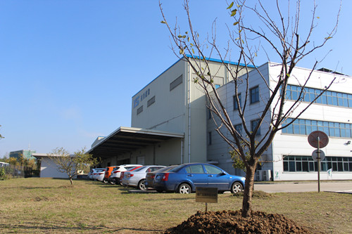 建厂五周年留想树 (1)